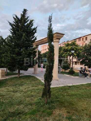 2-комн. вторичка - м. Мемар Аджеми - 50 м² (13)
