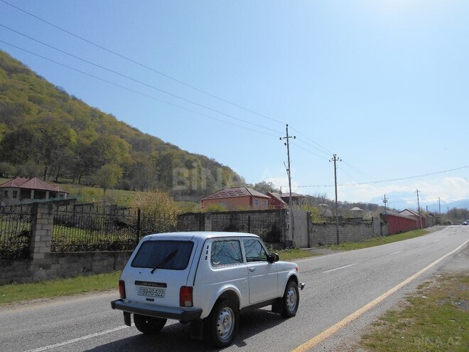 Участок - Губа - 81 сот (15)