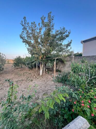 4-комн. дом/дача - пос. Рамана - 240 м² (7)
