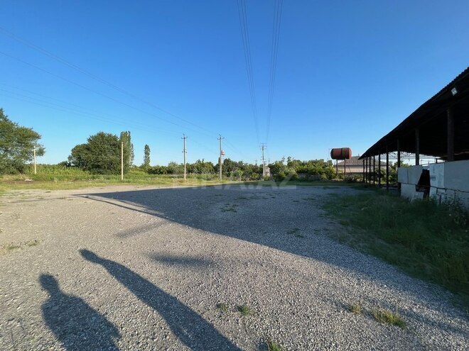 Объект - Гёйчай - 6000 м² (5)