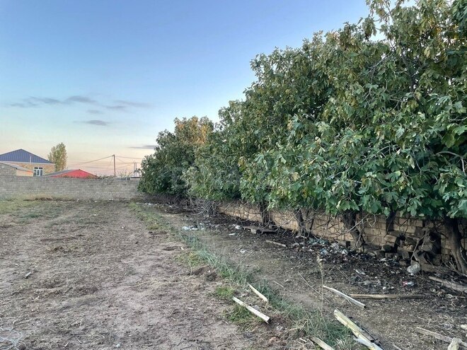 Продаётся  участок 16 сот, Сабунчинский  р., photo 9 from 11