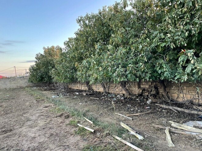 Продаётся  участок 16 сот, Сабунчинский  р., photo 10 from 11