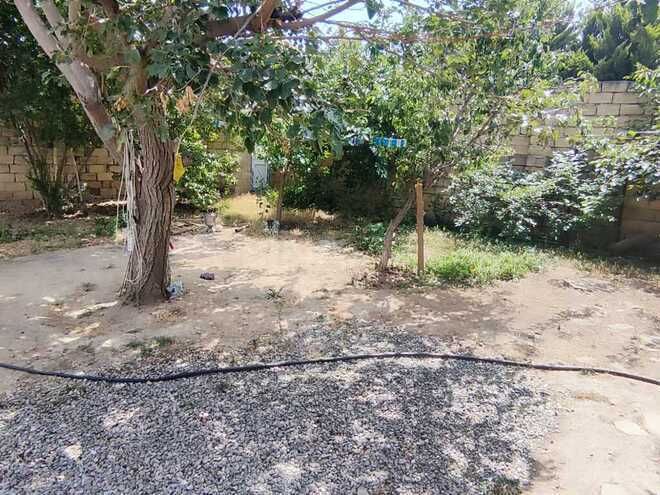 4 otaqlı həyət evi/bağ evi - Binəqədi r. - 150 m² (14)
