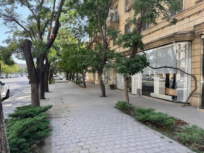 Объект - м. Элмляр Академиясы - 250 м² (3)