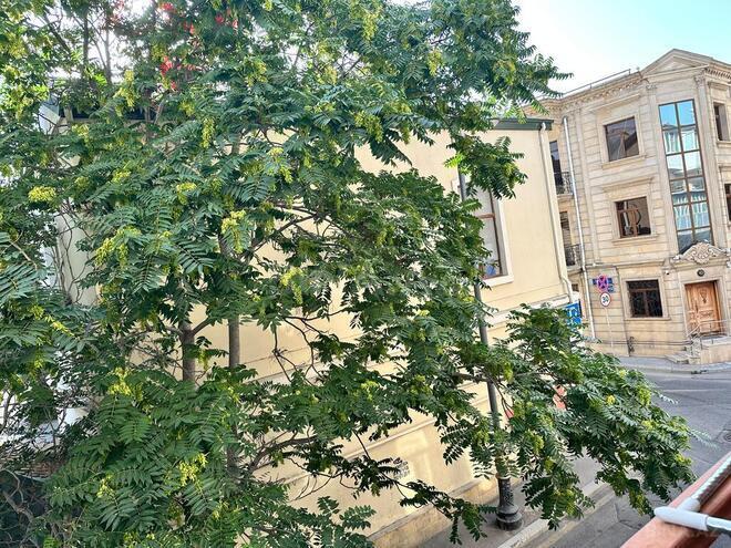2-комн. вторичка - м. Низами - 85 м² (7)