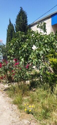 4-комн. дом/дача - пос. Бина - 120 м² (4)