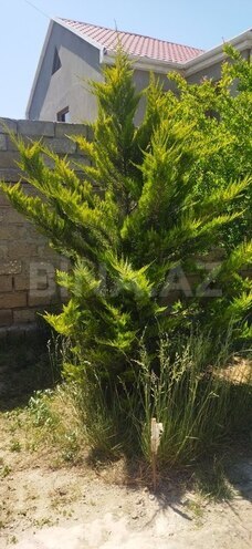 4-комн. дом/дача - пос. Бина - 120 м² (3)