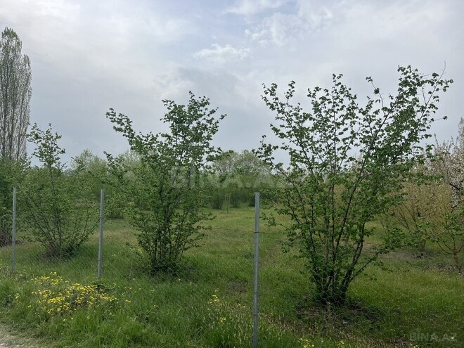Участок - Хачмаз - 46 сот (13)