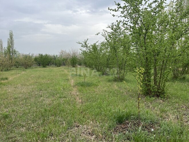 Участок - Хачмаз - 46 сот (3)