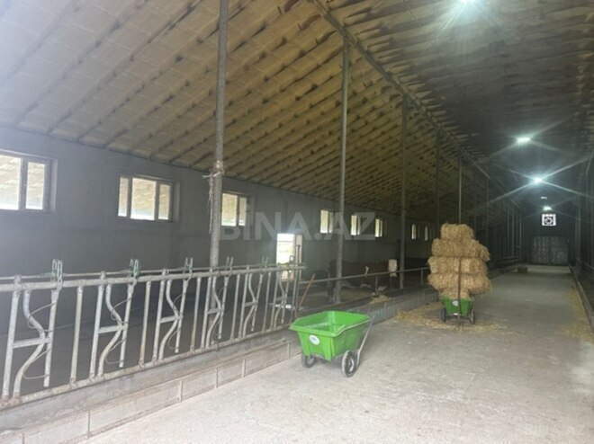 Объект - Хачмаз - 14000 м² (11)