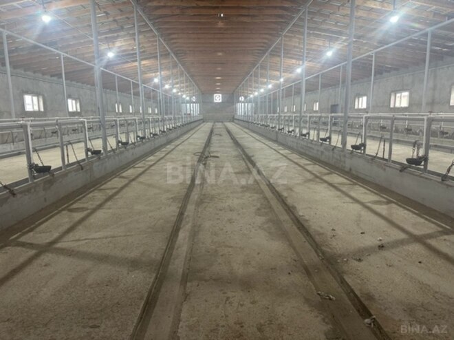 Объект - Хачмаз - 14000 м² (14)
