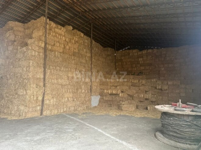 Объект - Хачмаз - 14000 м² (19)