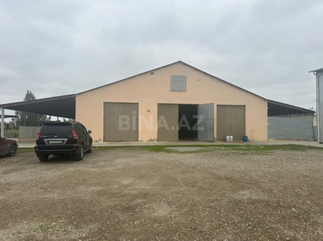 Объект - Хачмаз - 14000 м² (8)