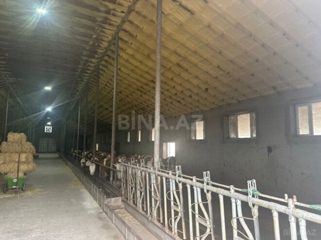 Объект - Хачмаз - 14000 м² (13)