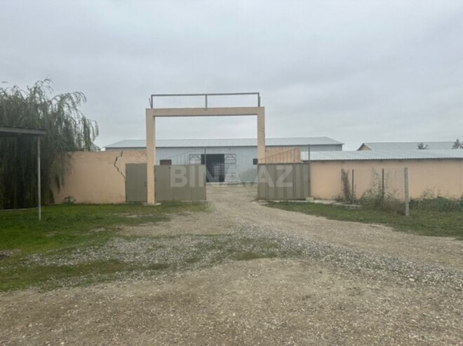 Объект - Хачмаз - 14000 м² (1)