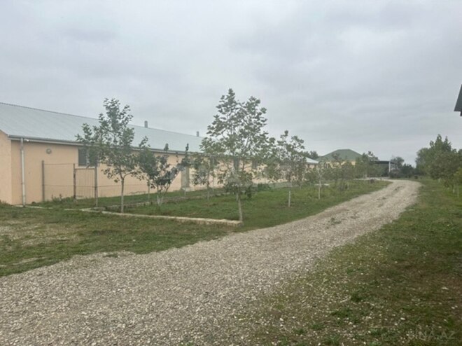 Объект - Хачмаз - 14000 м² (17)