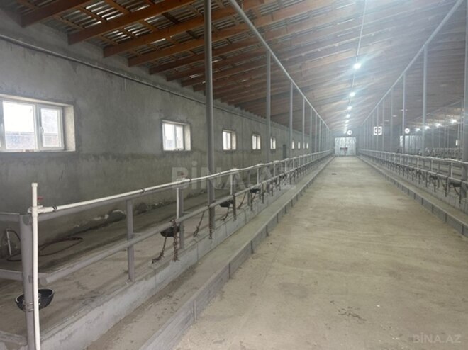 Объект - Хачмаз - 14000 м² (16)