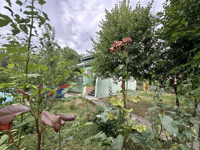 3-комн. дом/дача - Исмаиллы - 150 м² (18)