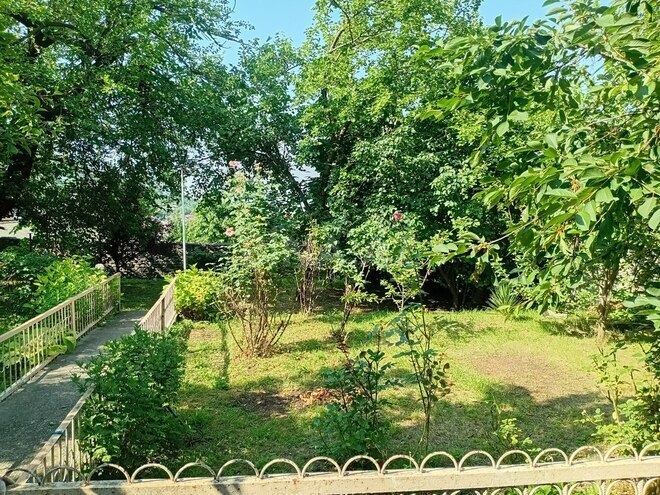 Участок - Шеки - 8.2 сот (3)