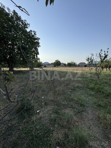 Участок - Гёйгёль - 18 сот (6)
