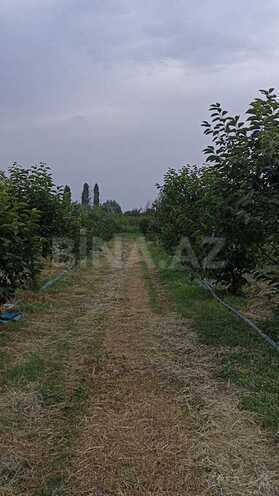 Torpaq - Göyçay - 132 sot (1)