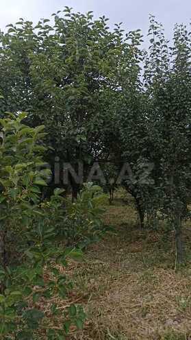 Torpaq - Göyçay - 132 sot (2)