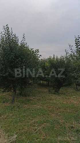 Torpaq - Göyçay - 132 sot (6)