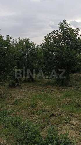 Torpaq - Göyçay - 132 sot (5)