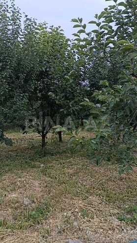 Torpaq - Göyçay - 132 sot (3)