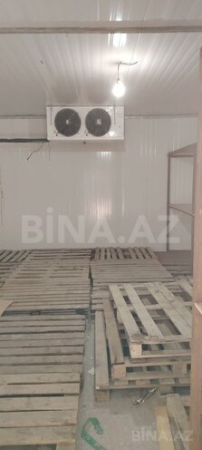 Участок - Нахичеван - 37 сот (21)
