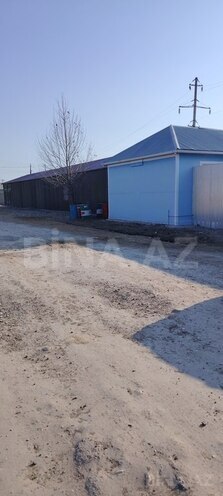 Участок - Нахичеван - 37 сот (3)