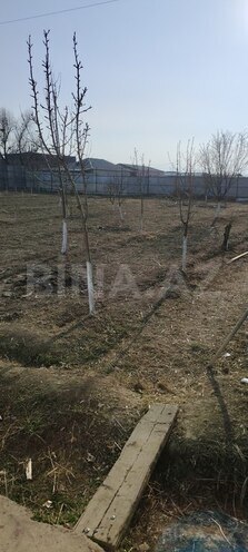 Участок - Нахичеван - 37 сот (19)