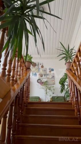2-комн. дом/дача - Ленкорань - 283 м² (6)