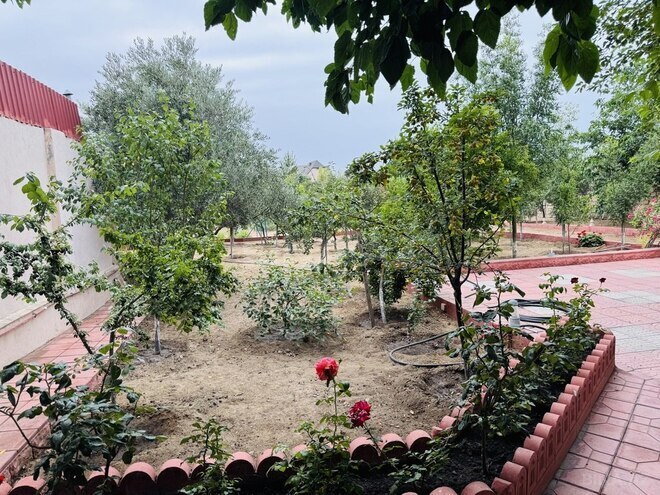 Продаётся  участок 24 сот, пос. Бильгях, photo 15 from 32