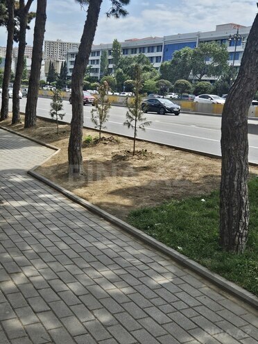 Объект - м. 20 января - 60 м² (8)