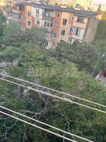 1 otaqlı yeni tikili - 3-cü mikrorayon q. - 30 m² (6)
