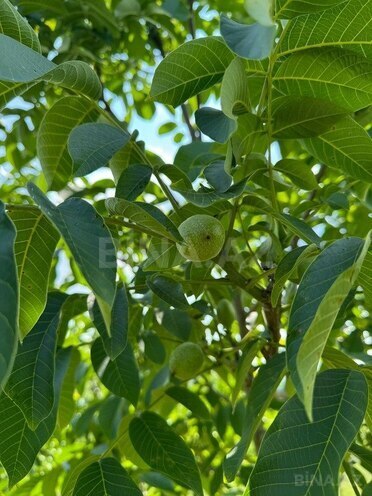 Продаётся  участок 2 000 сот, photo 11 from 31