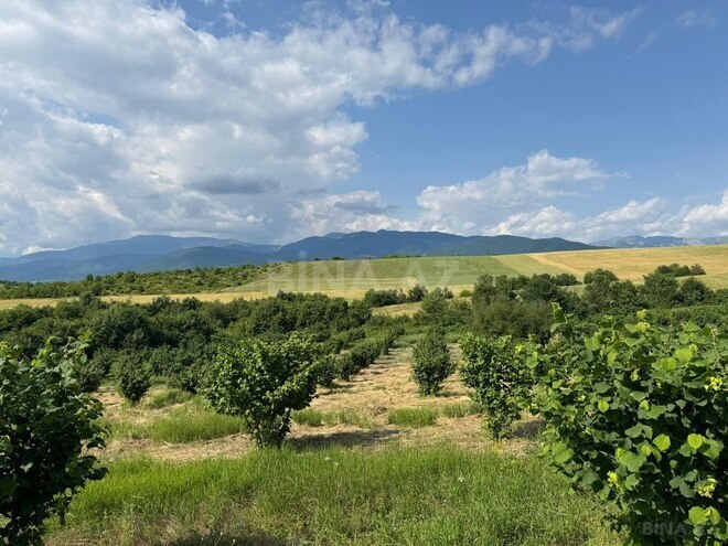 Продаётся  участок 2 000 сот, photo 3 from 31