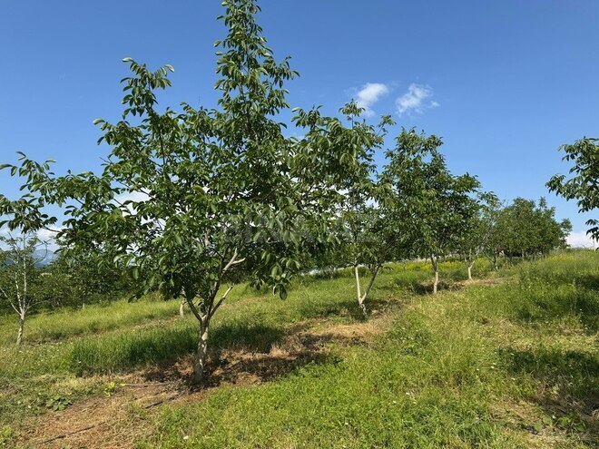 Продаётся  участок 2 000 сот, photo 8 from 31