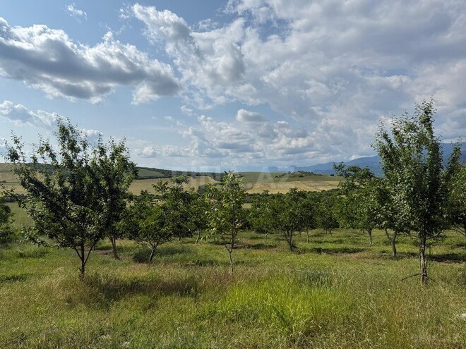 Продаётся  участок 2 000 сот, photo 27 from 31