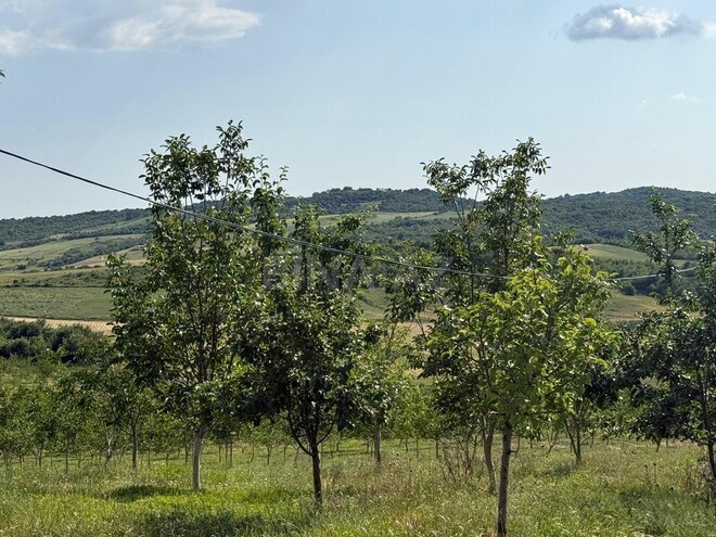 Продаётся  участок 2 000 сот, photo 5 from 31