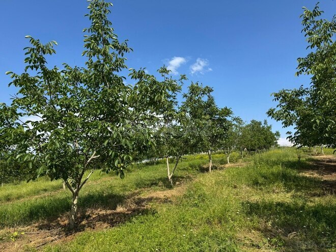 Продаётся  участок 2 000 сот, photo 10 from 31