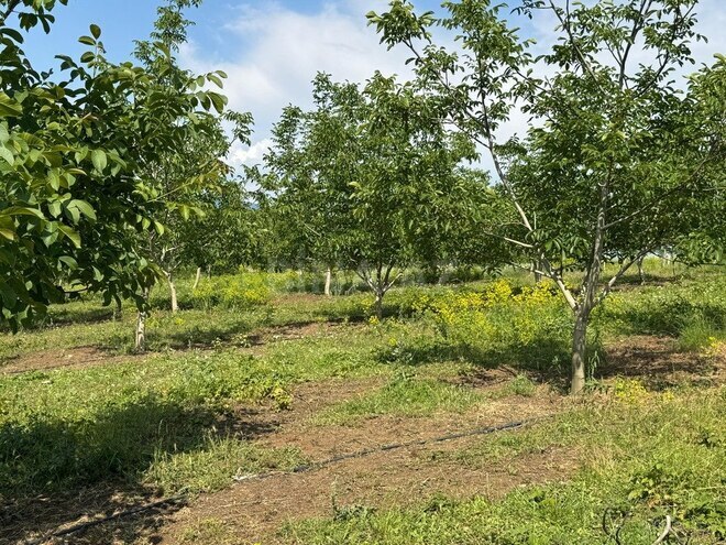 Продаётся  участок 2 000 сот, photo 23 from 31