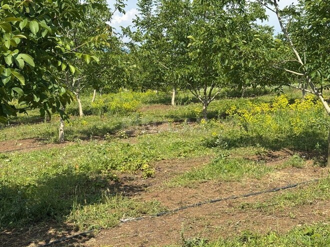 Продаётся  участок 2 000 сот, photo 20 from 31