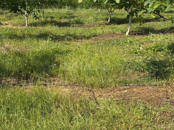 Продаётся  участок 2 000 сот, photo 16 from 31