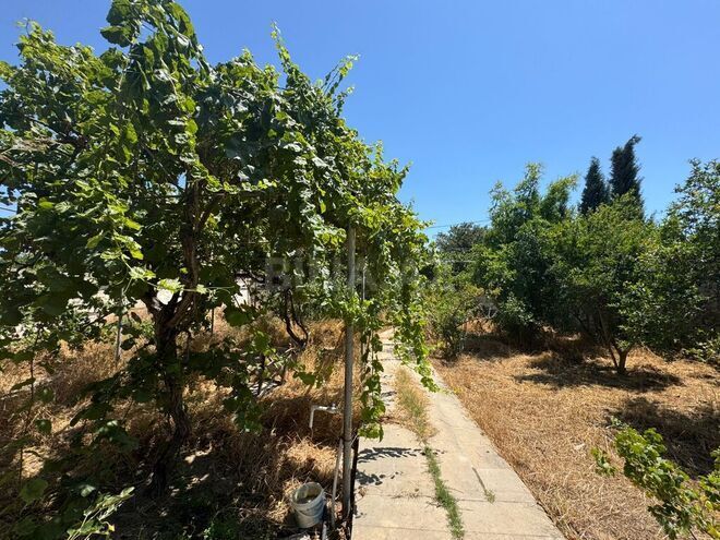 Satılır  torpaq 10 sot, Şağan q., photo 5 from 7