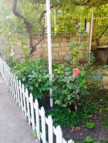 Продаётся  объект 300 м², photo 5 from 25