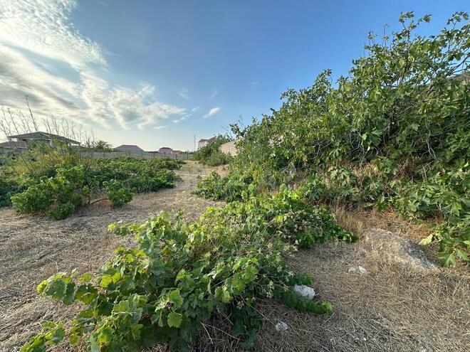 Satılır  torpaq 12 sot, Buzovna q., photo 3 from 8