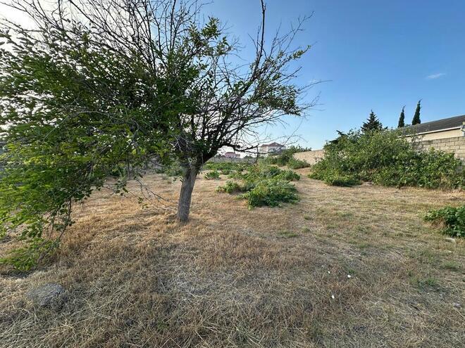 Satılır  torpaq 12 sot, Buzovna q., photo 6 from 8