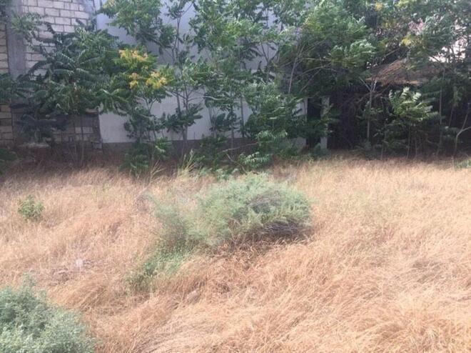 Satılır  torpaq 4 sot, Elmlər Akademiyası m., photo 11 from 23